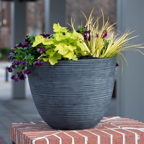 Large Outdoor Planter Design Services