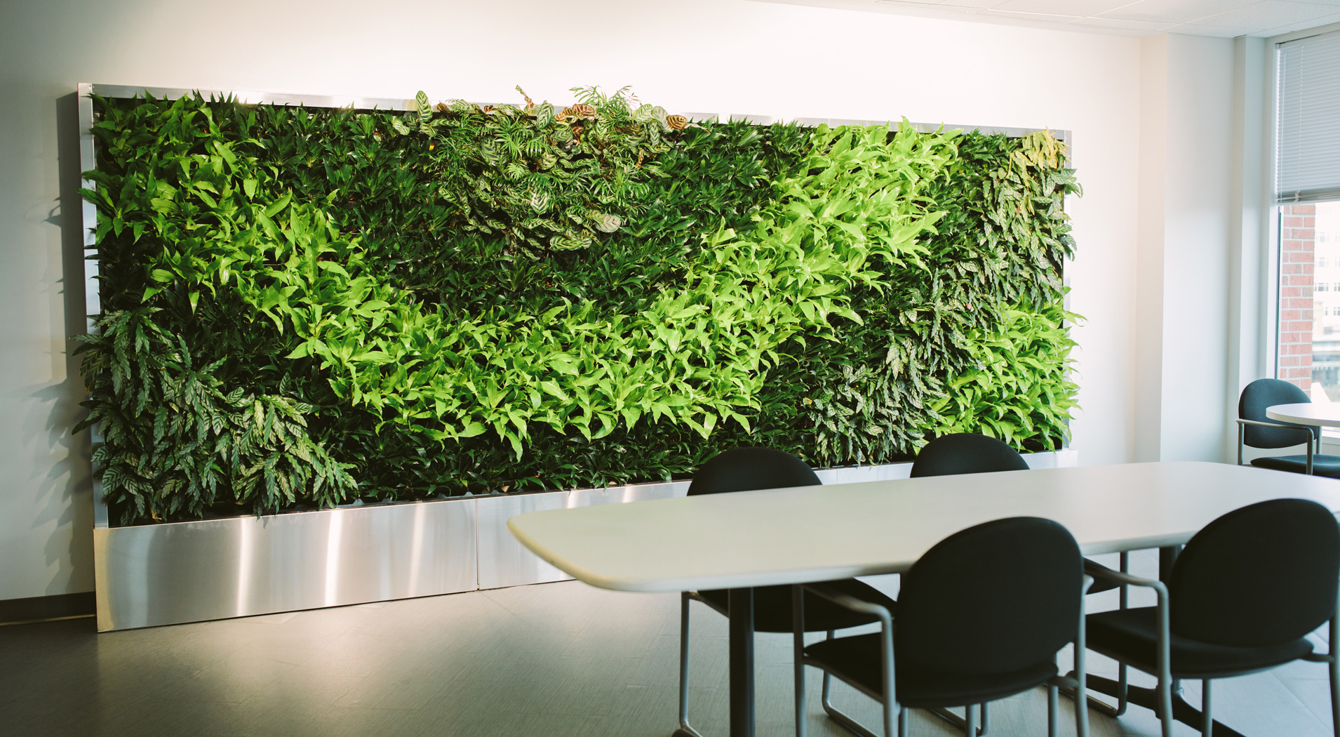 Multi-Family Plant Design and Care Services