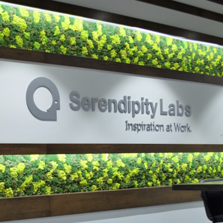 Custom Moss Art Wall